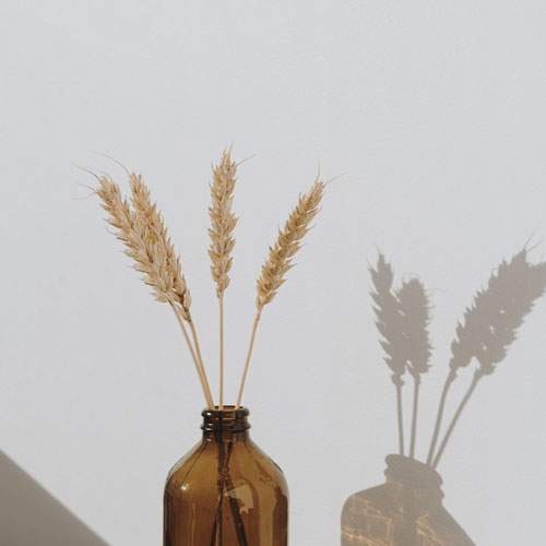 decor at a med spa in Arlington, VA